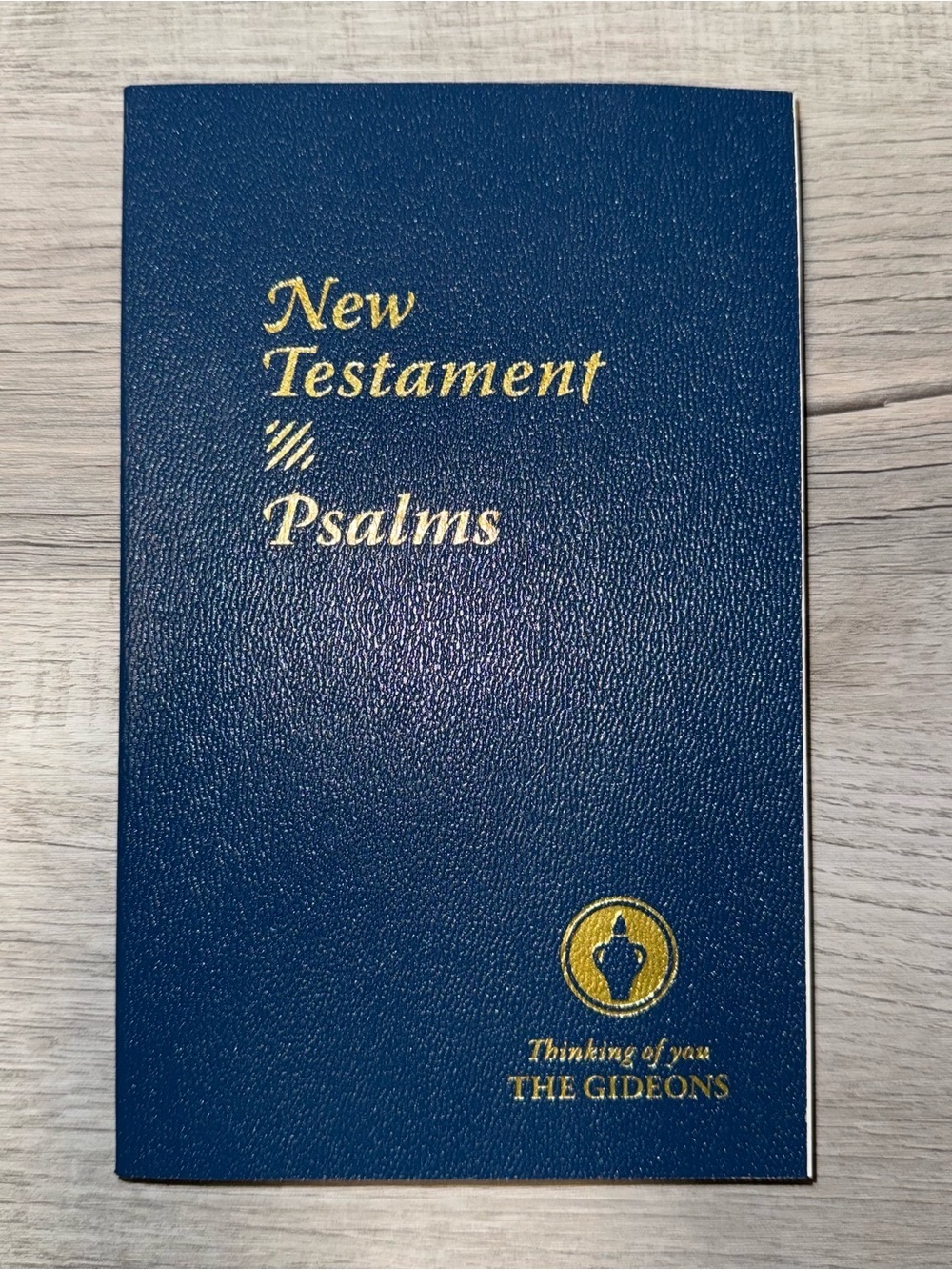 New Testament Psalms Gideons Bible Thinking Of You 2013 Blue Softcover ESV Rare